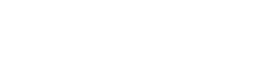 Cisco Networking Academy logo